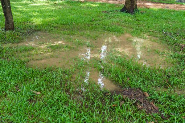 Storm Water Drainage Service in Newark