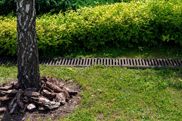Garden Drainage Installation in Newark